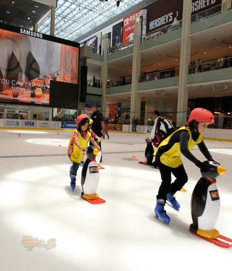 قوانین اسکیت روی یخ دبی (پاتیناژ دبی)