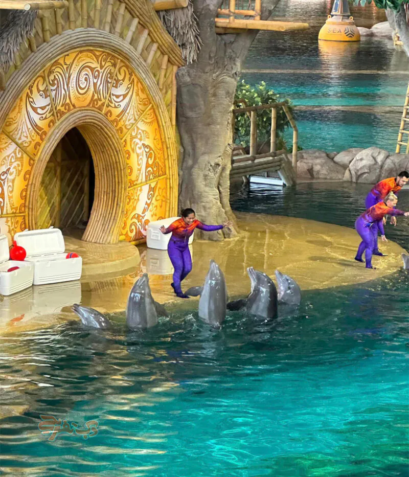 امکانات مجموعه سی ورلد