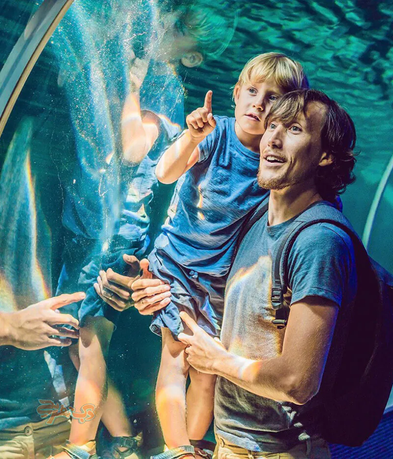 بازدید از آکواریوم دبی مال