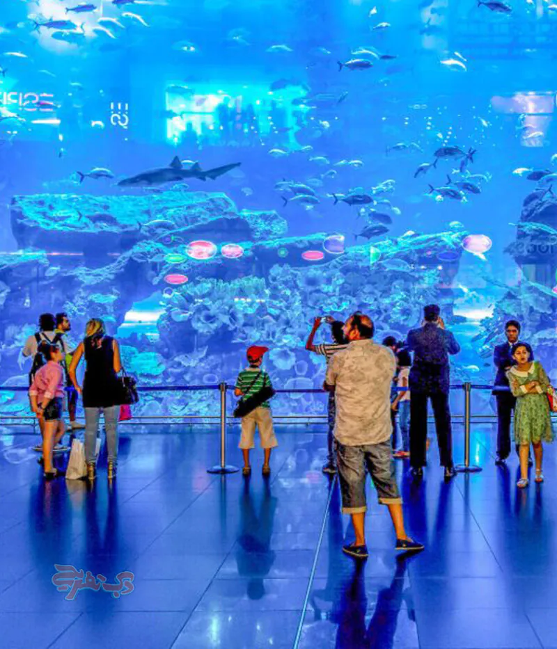 عکس آکواریوم دبی مال
