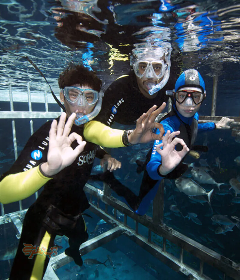 هزینه بلیط آکواریوم دبی مال