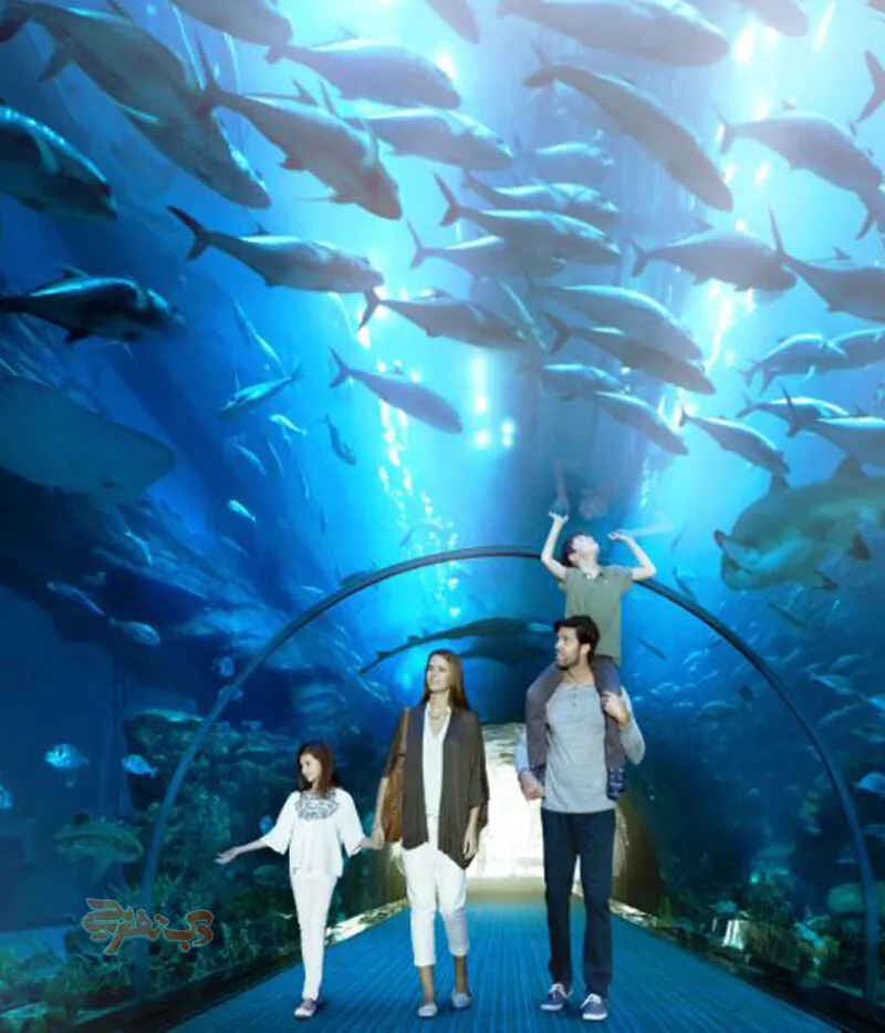 تونل آکواریوم دبی مال