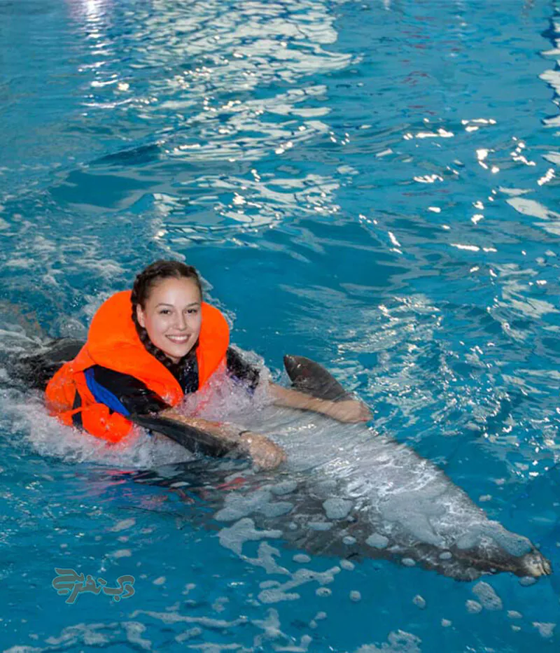 شنا با دلفین ها در دلفیناریوم دبی