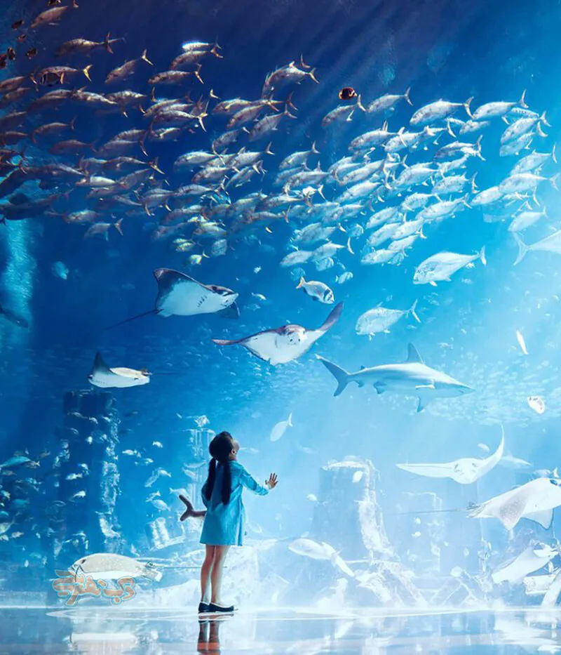 عکس های آکواریوم لاست چمبرز دبی