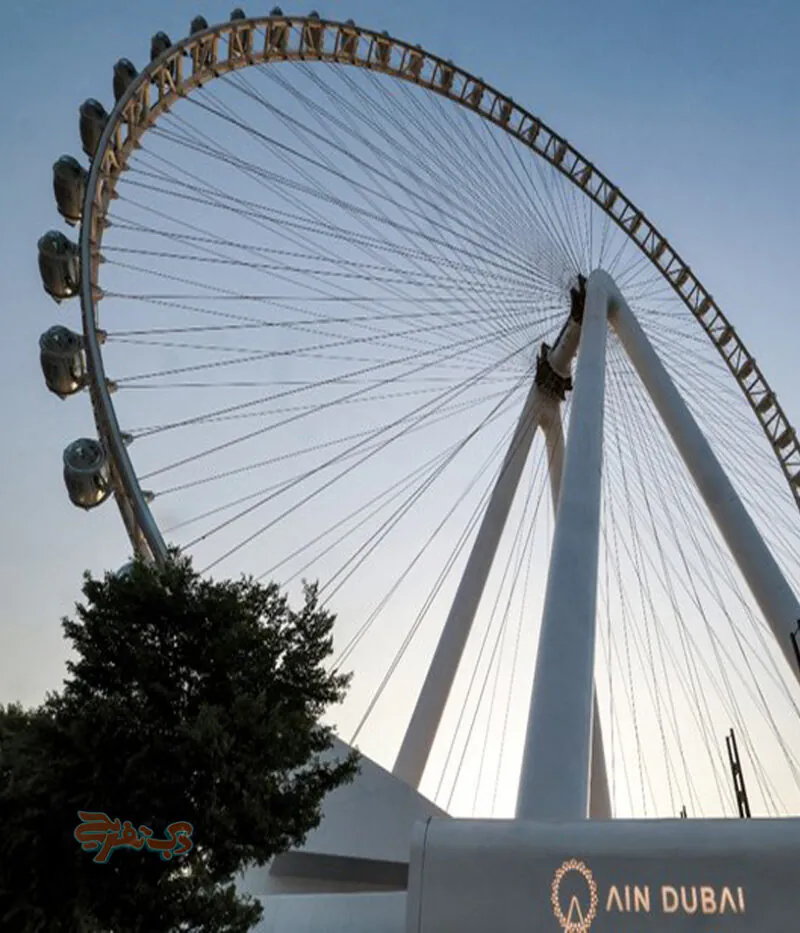 قوانین چرخ و فلک عین دبی