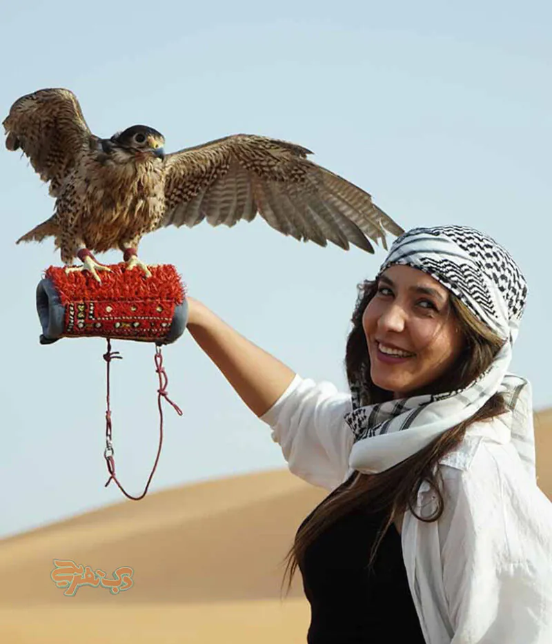 عکاسی با شاهین در سافاری صحرا دبی