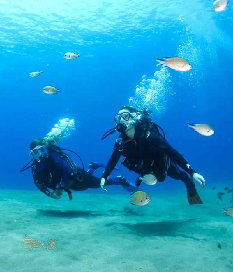 عکس غواصی دبی