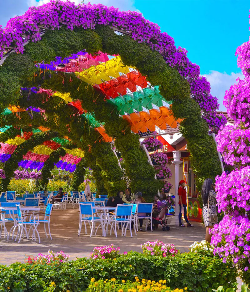 قیمت بلیط باغ گل دبی