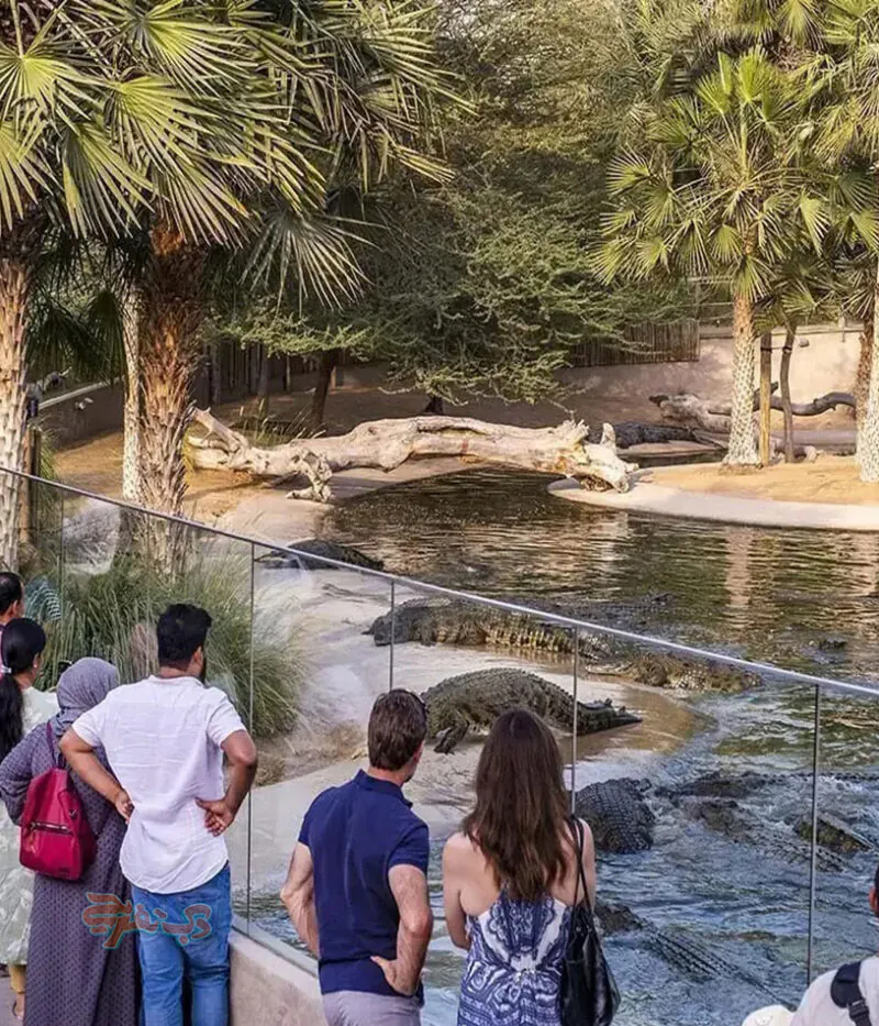 هزینه بلیط پارک کروکودیل دبی
