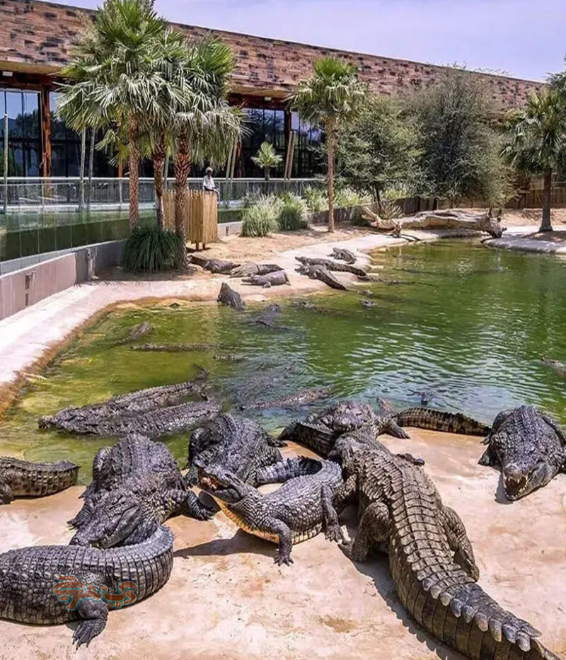 امکانات پارک کروکودیل دبی