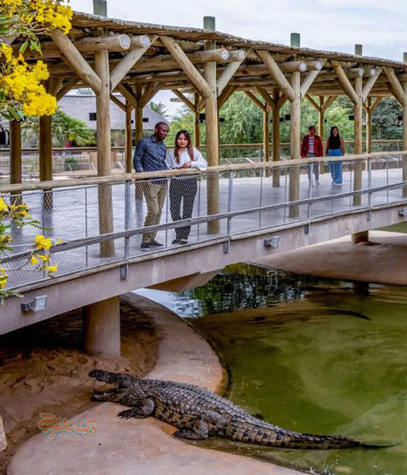 عکس پارک کروکودیل دبی