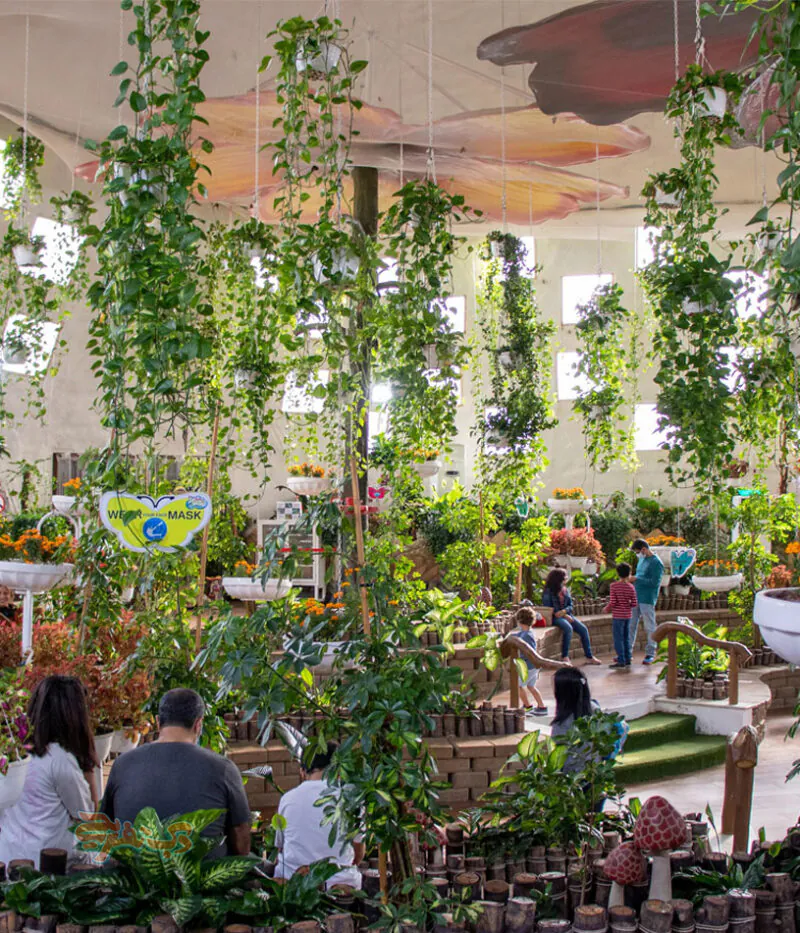 عکس باغ پروانه دبی