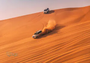 انواع تورهای سافاری صحرا در دبی (تفریحات کویر)