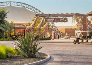 تصویر شاخص باغ وحش دبی