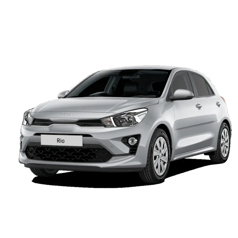 اجاره کیا ریو در دبی