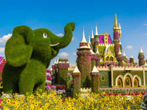 رسیدن به باغ گل معجزه دبی