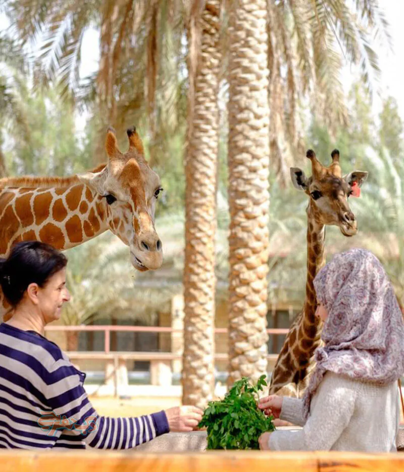 هزینه بلیط باغ وحش امارات