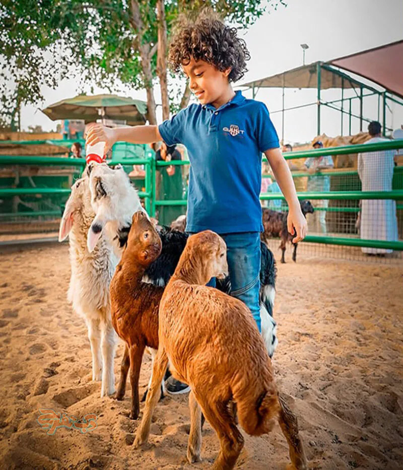 قیمت ورودی باغ وحش امارات