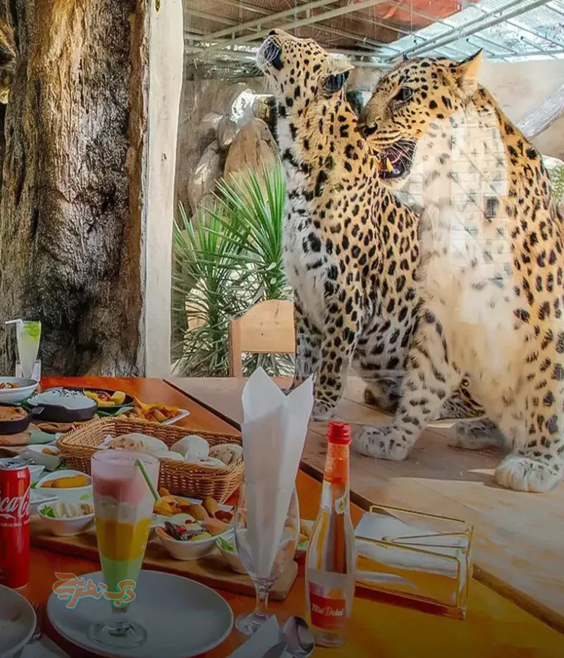 برنامه های باغ وحش امارات