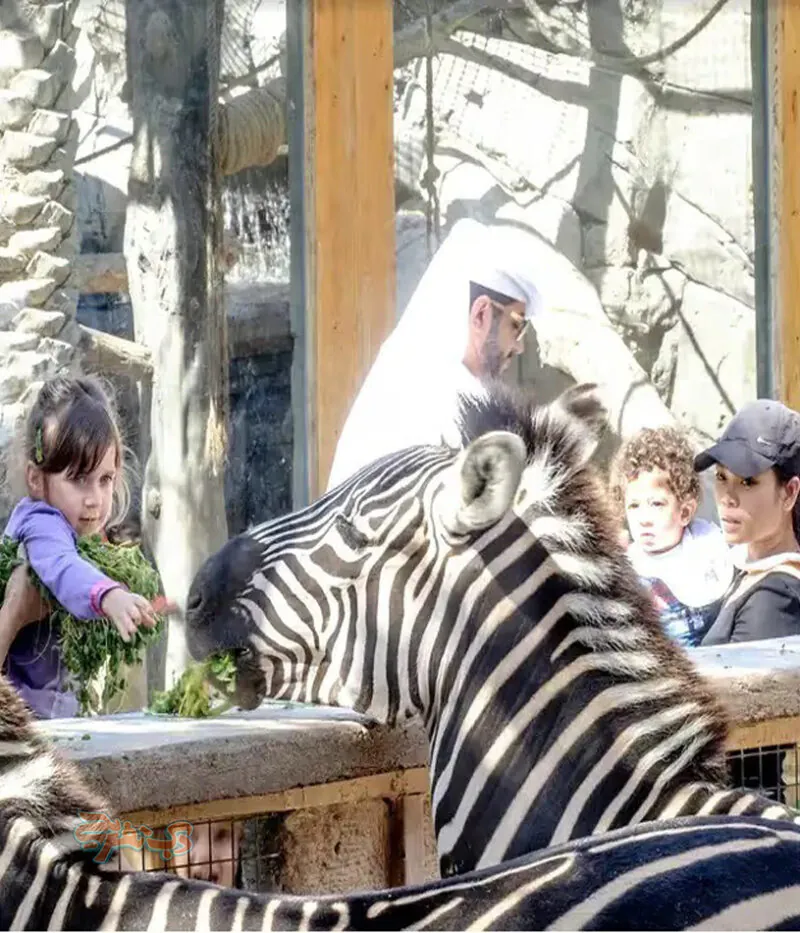 قوانین باغ وحش امارات