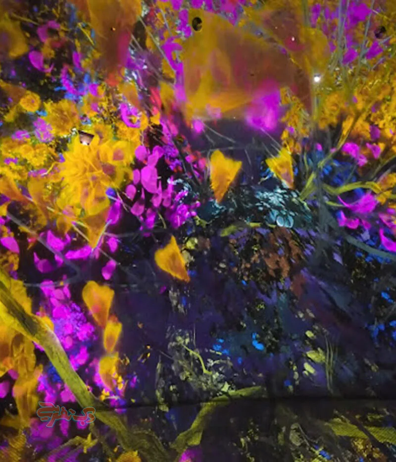 قیمت بلیط موزه هنر دیجیتال تیم‌لب ابوظبی