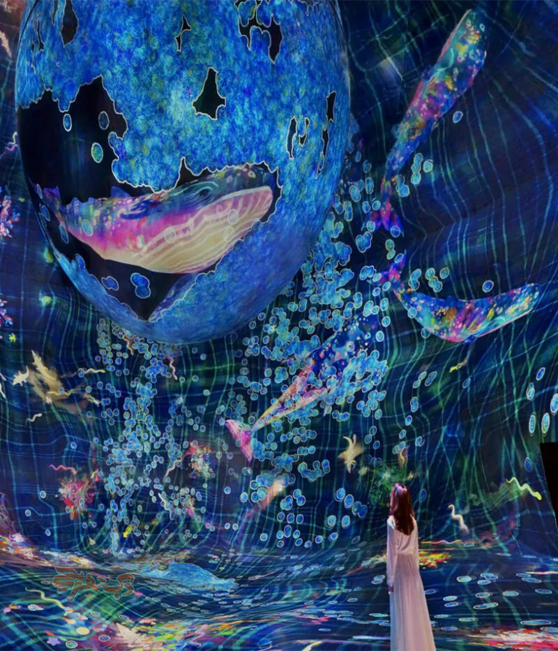 هزینه ورودی موزه هنر دیجیتال تیم‌لب ابوظبی