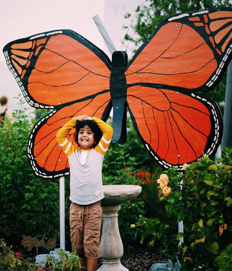 قیمت بلیط باغ پروانه ابوظبی