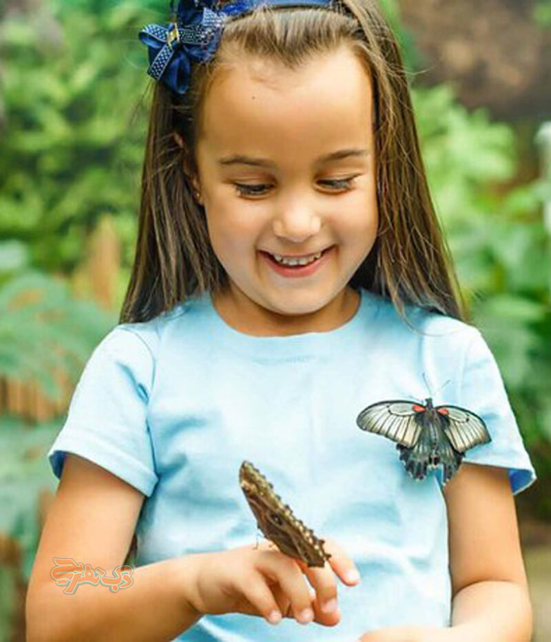 خرید بلیط باغ پروانه ابوظبی