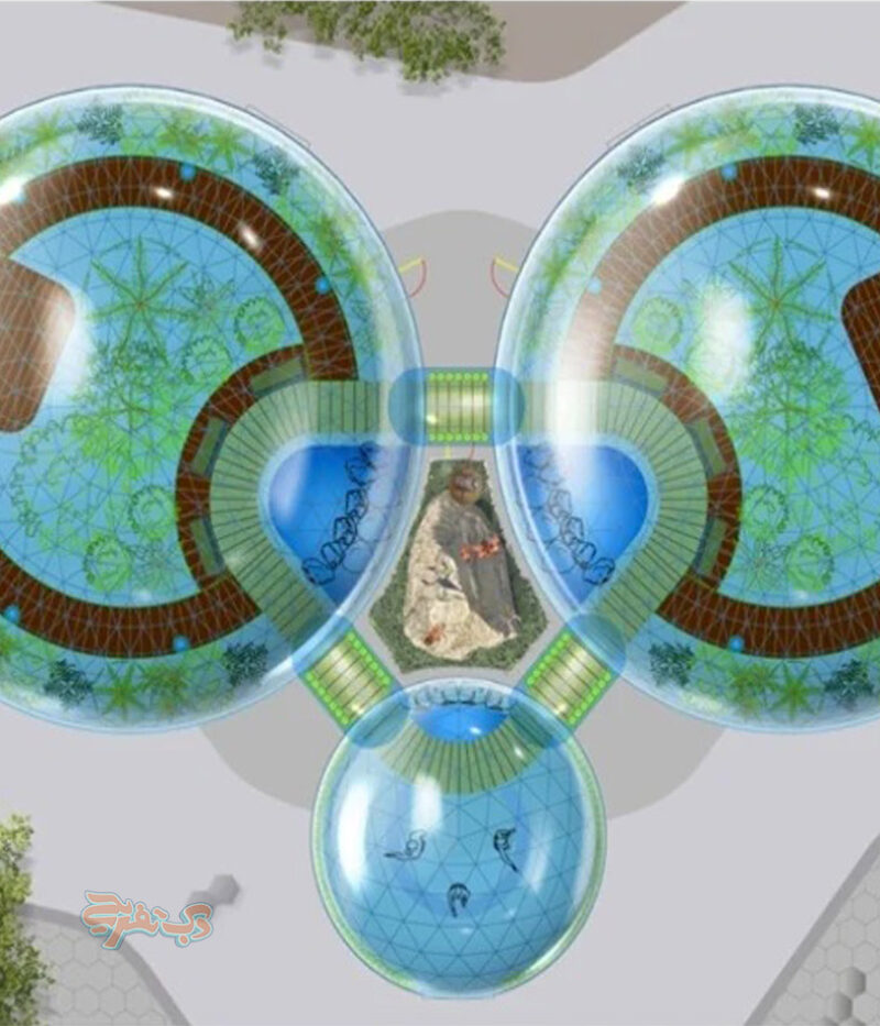 تصویر باغ پروانه ابوظبی