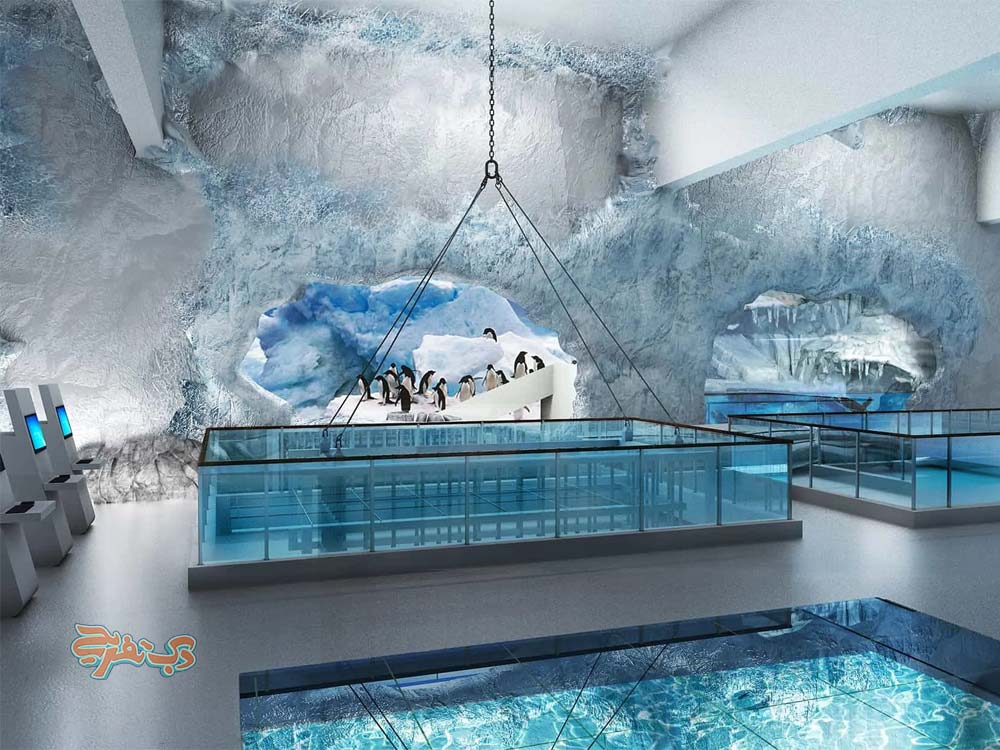 غار پنگوئن دبی مال