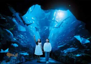 بهترین آکواریوم دبی کجاست؟