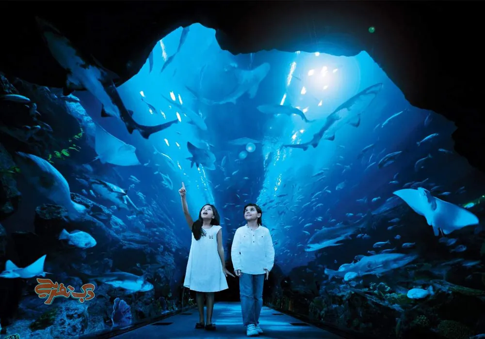 بهترین آکواریوم دبی کجاست؟