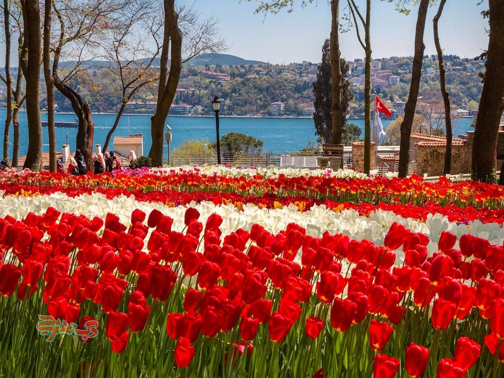 بهترین کشورها برای سفر در بهار